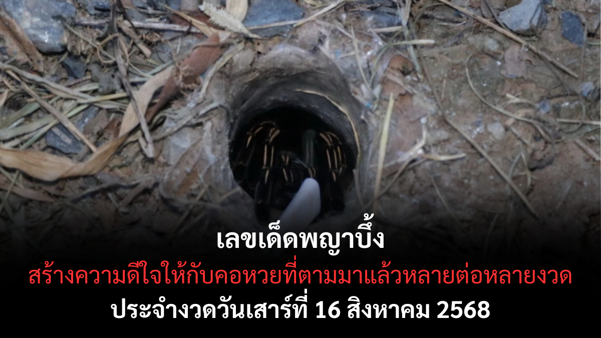 เลขเด็ดพญาบึ้ง จัดเลขเด่นเน้นๆ งวด 16 ส.ค. 68