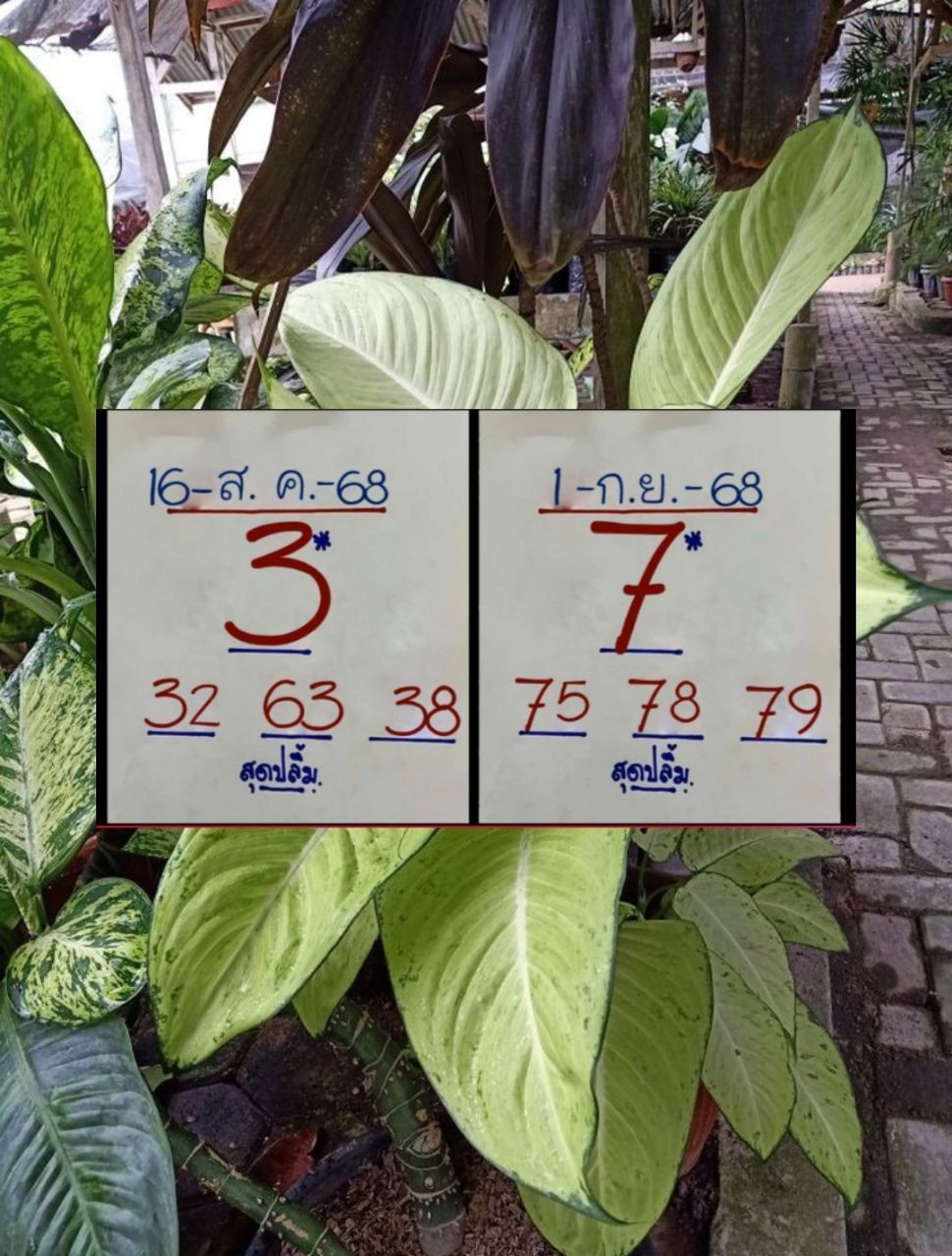 เลขเด็ดสุดปลื้ม 1/9/68