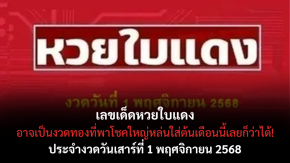 เลขเด็ดหวยใบแดง 1/11/68 สำนักดังให้โชคแรง เลขชนหลายเจ้า ลุ้นรวยต้นเดือน!