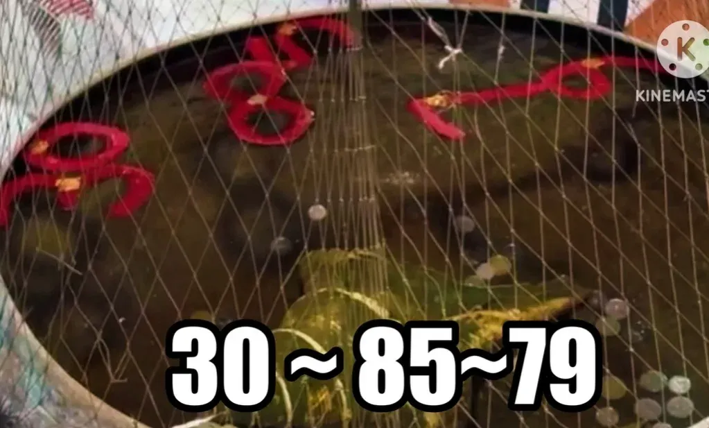 เลขเด็ดฤาษีเณร งวด 1 พฤศจิกายน 2568 บารมีแรงคึกคัก คอหวยแห่ขอโชคอ่างน้ำมนต์แน่น! เลขเด็ดฤาษีเณร 1/11/68