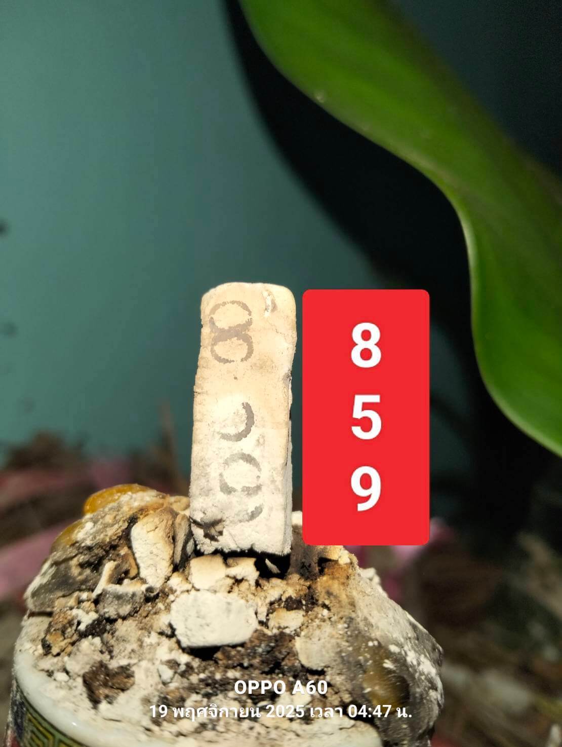 หวยฮานอย 19-11-68 ชุด10