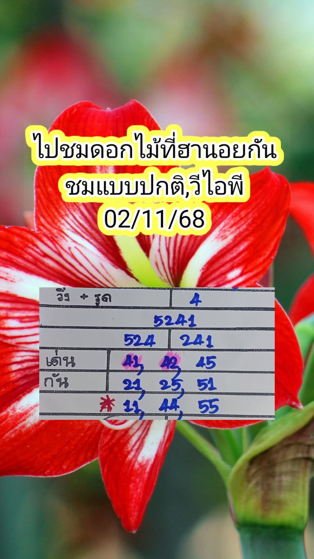 หวยฮานอย 2-11-68 ชุด2