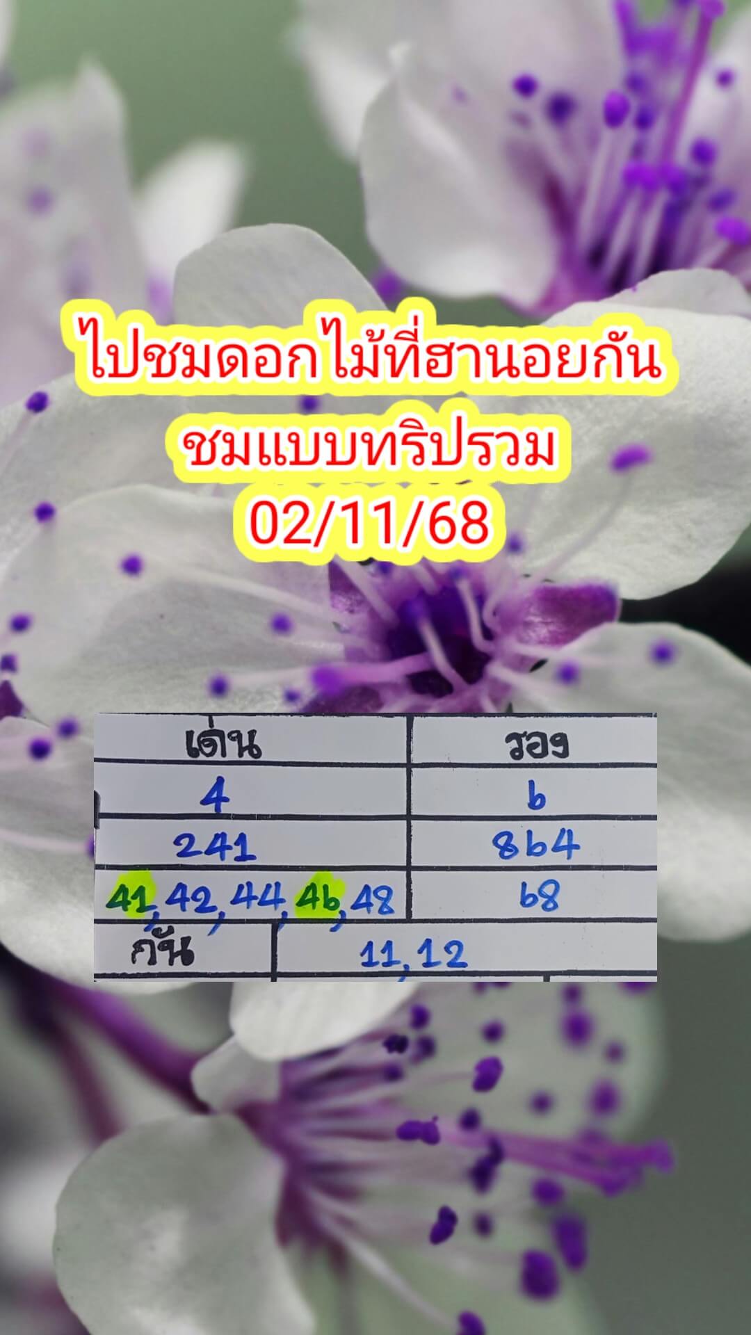 หวยฮานอย 2-11-68 ชุด3