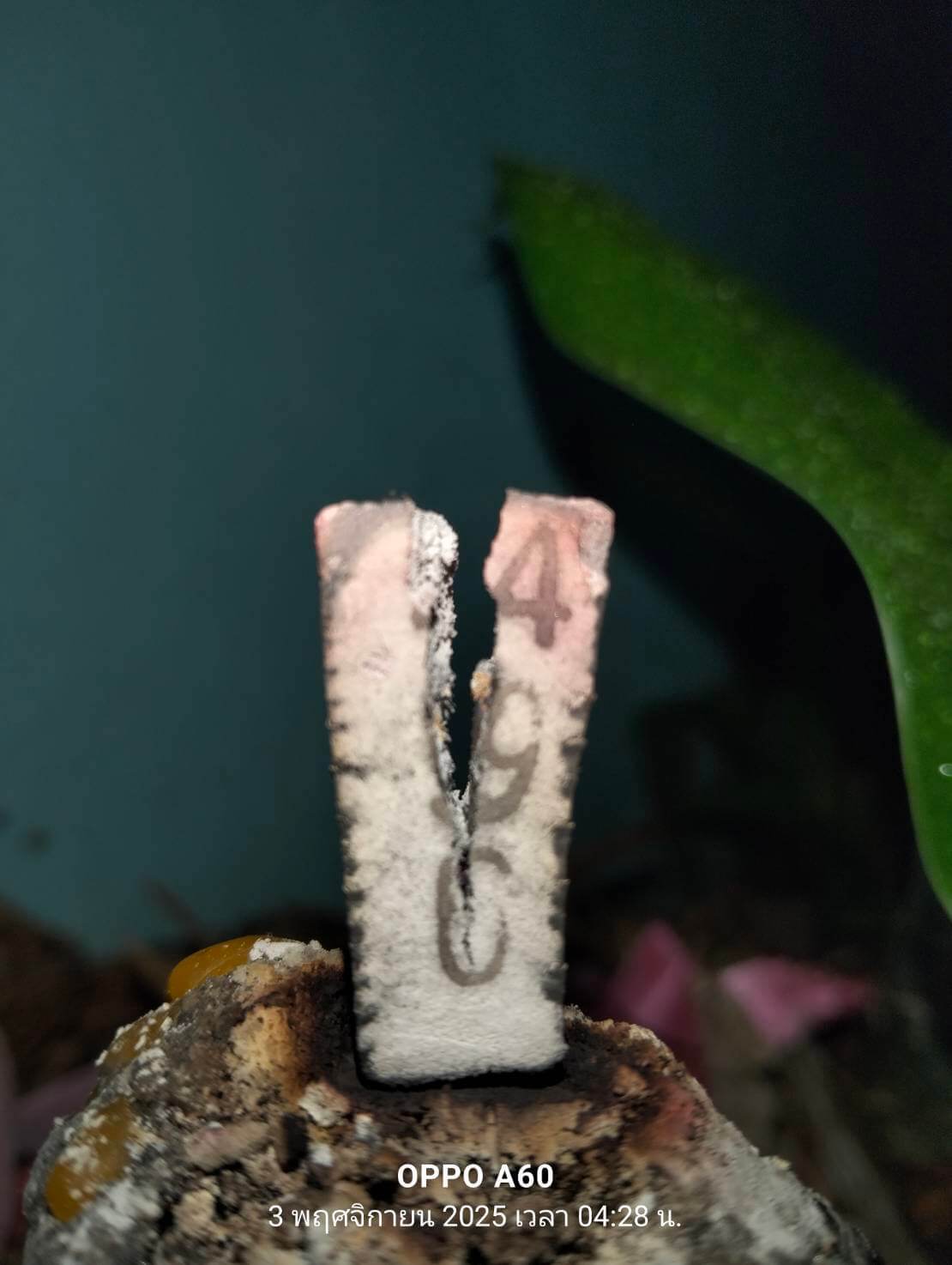 แนวทางหวยฮานอย 3/11/68 แนวทางหวยฮานอยวันนี้ออก งวดวันที่ 3 พฤศจิกายน 2568 หวยฮานอย 3-11-68 ชุด2