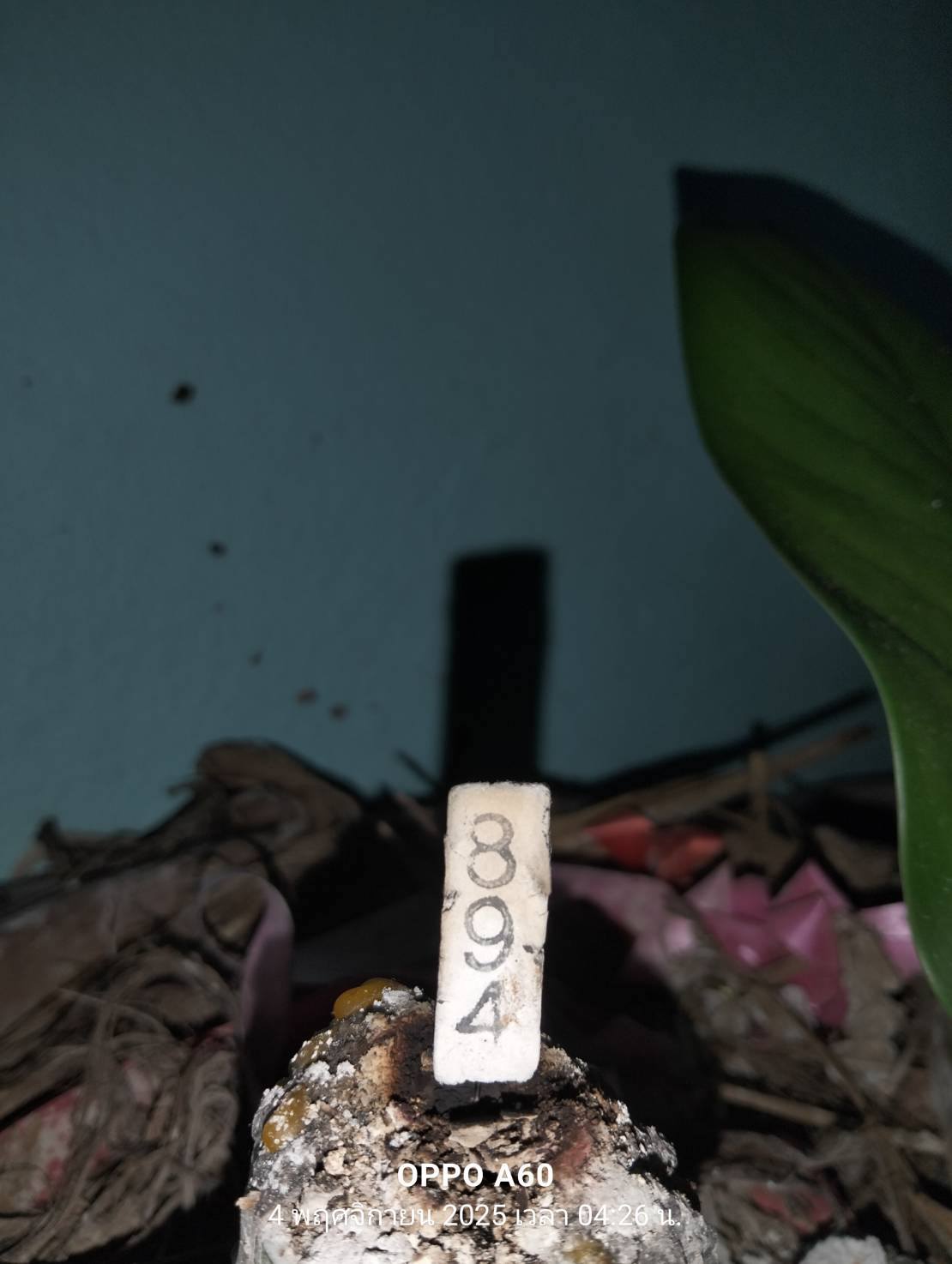 หวยฮานอย 4-11-68 ชุด9