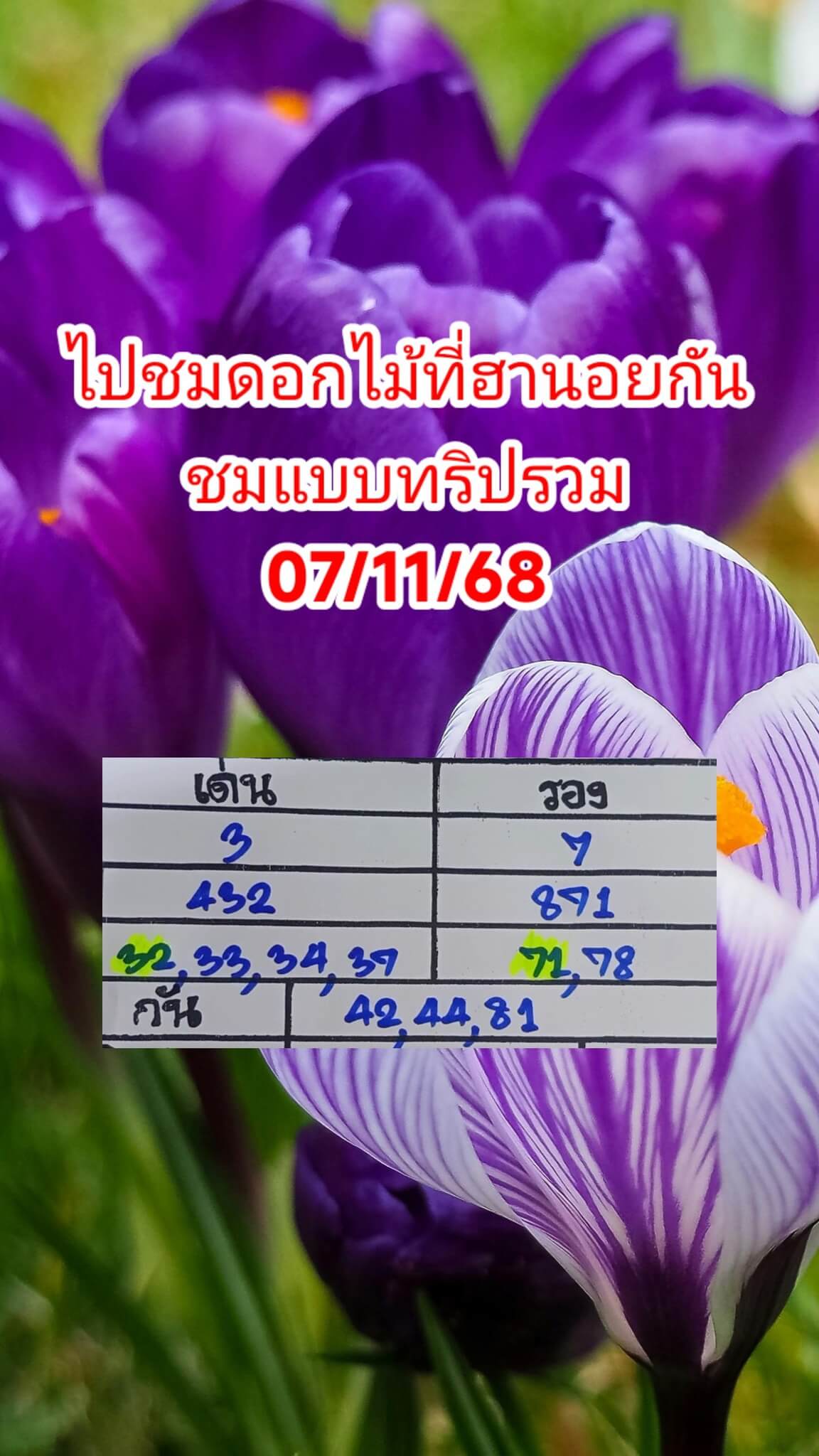 แนวทางหวยฮานอย 7/11/68 แนวทางหวยฮานอยวันนี้ออก งวดวันที่ 7 พฤศจิกายน 2568 หวยฮานอย 7-11-68 ชุด7