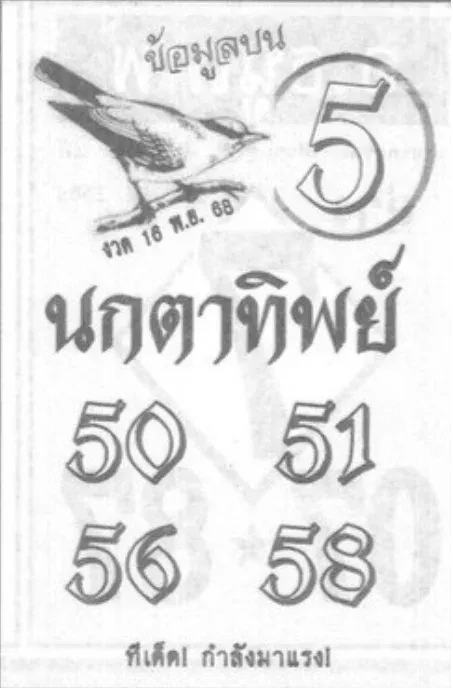 เลขเด็ดนกตาทิพย์ 16/11/68 เปิดแนวทางสายมูสุดแม่น งวดนี้พลังแรงของจริง!