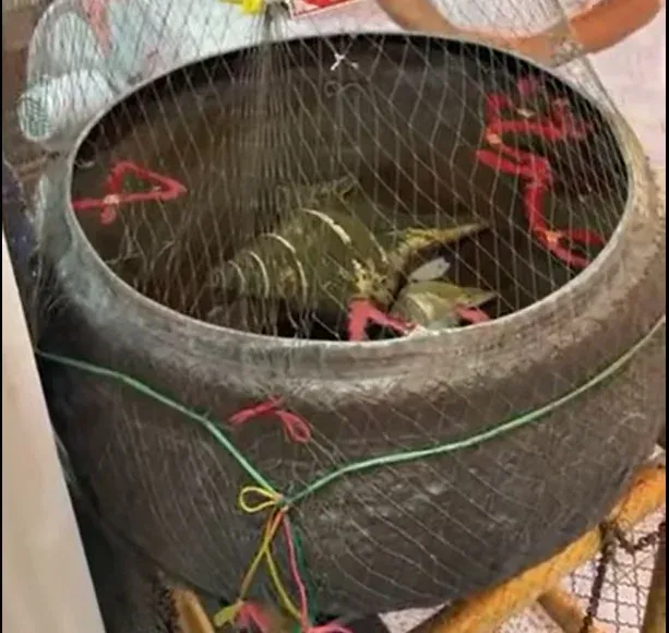 เลขเด็ดฤาษีเณร 1/12/68