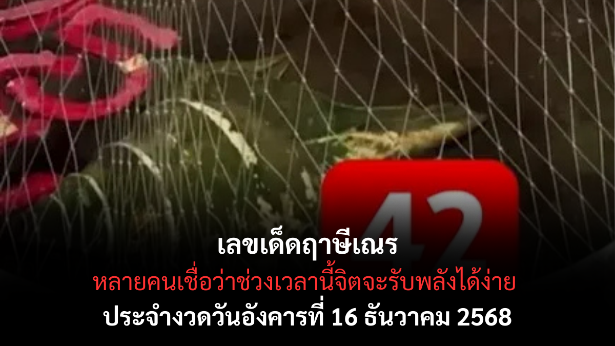 เลขเด็ดฤาษีเณร 16/12/68 เปิดแนวทางญาณทิพย์จากสายปฏิบัติ งวดนี้นิมิตชัดน่าจับตา! เลขเด็ดฤาษีเณร 16/12/68