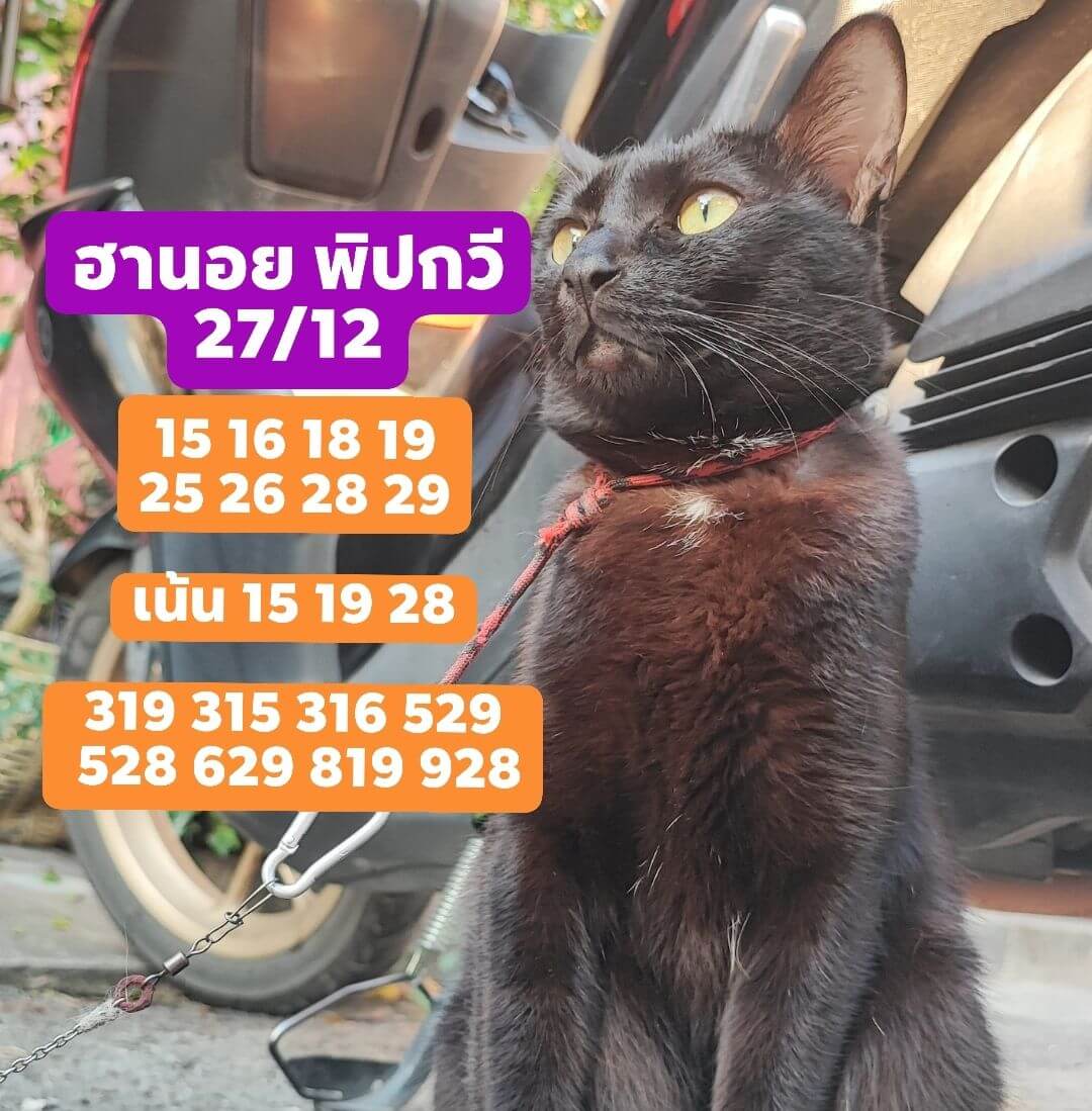 แนวทางหวยฮานอย 27/12/68 แนวทางหวยฮานอยวันนี้ออก งวดวันที่ 27 ธันวาคม 2568 หวยฮานอย 27-12-68 ชุด7