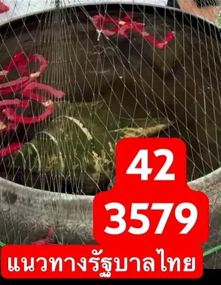 เลขเด็ดฤาษีเณร 16/12/68 เปิดแนวทางญาณทิพย์จากสายปฏิบัติ งวดนี้นิมิตชัดน่าจับตา! เลขเด็ดฤาษีเณร 16/12/68