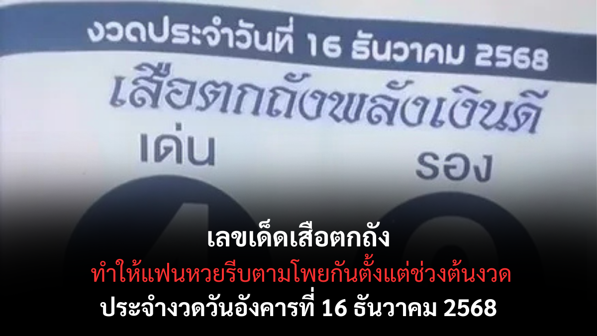 เลขเด็ดเสือตกถัง 16/12/68 เปิดโพยตัวแรงจากสำนักดัง งวดนี้เสือคำรามหนักมาก! เลขเด็ดเสือตกถัง 16/12/68