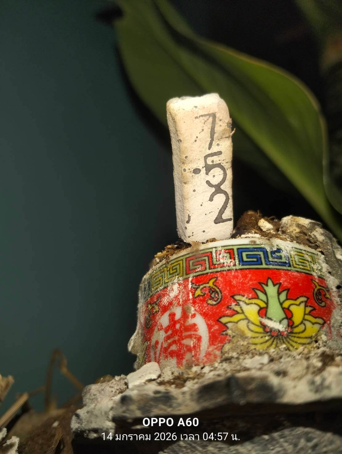 แนวทางหวยฮานอย 14/1/69 แนวทางหวยฮานอยวันนี้ออก งวดวันที่ 14 มกราคม 2568 หวยฮานอย 14-1-69 ชุด9