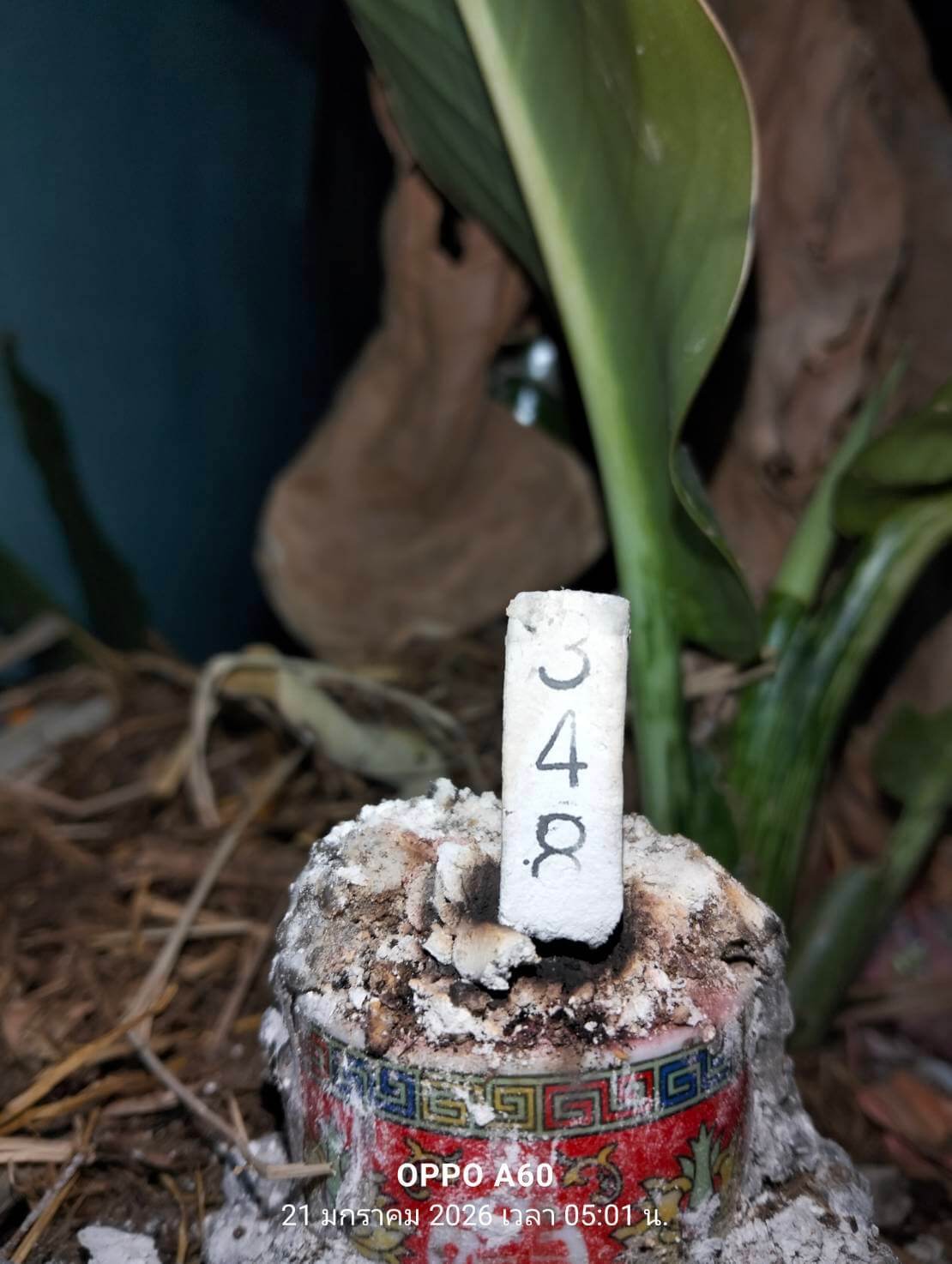 แนวทางหวยฮานอย 21/1/69 แนวทางหวยฮานอยวันนี้ออก งวดวันที่ 21 มกราคม 2568 หวยฮานอย 21-1-69 ชุด2