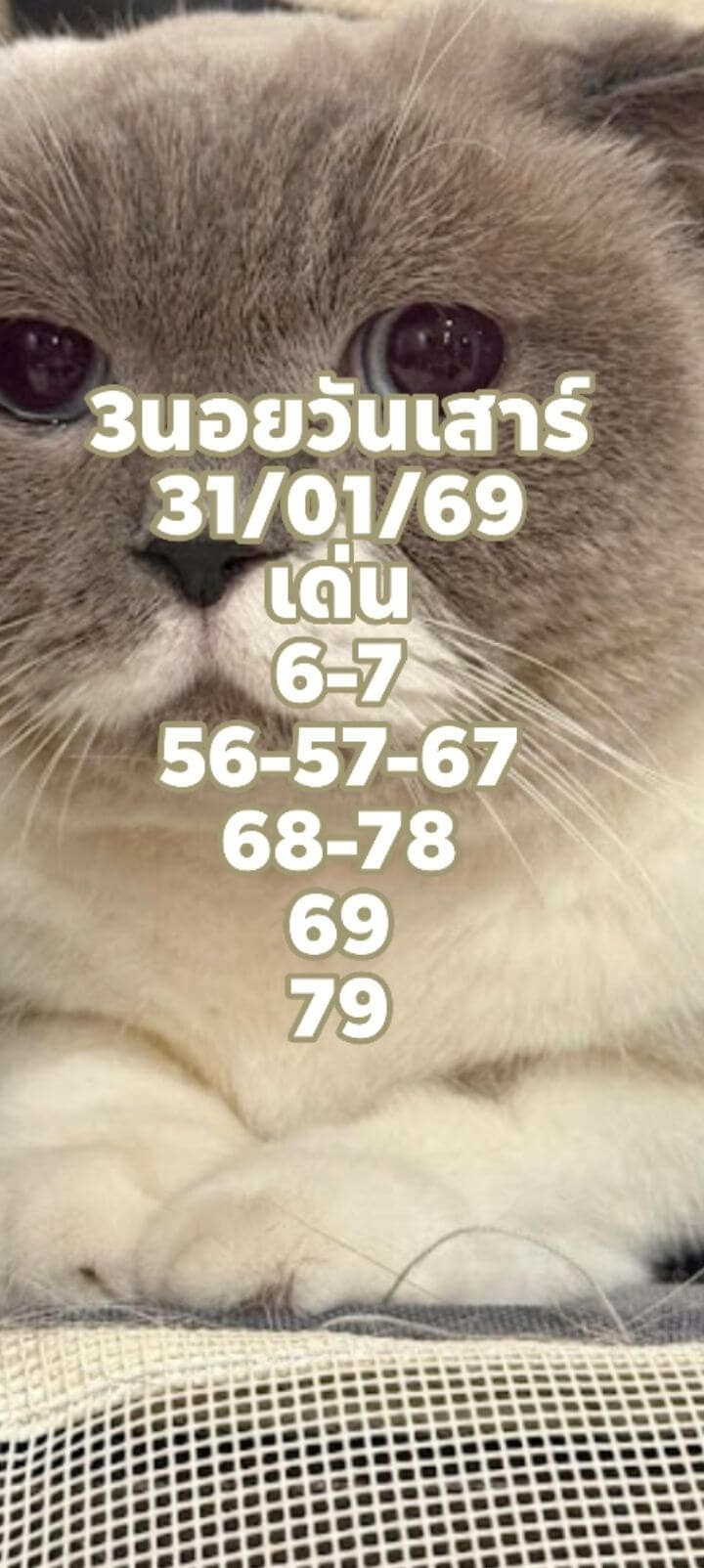 แนวทางหวยฮานอย 31/1/69 แนวทางหวยฮานอยวันนี้ออก งวดวันที่ 31 มกราคม 2569 หวยฮานอย 31-1-69 ชุด6