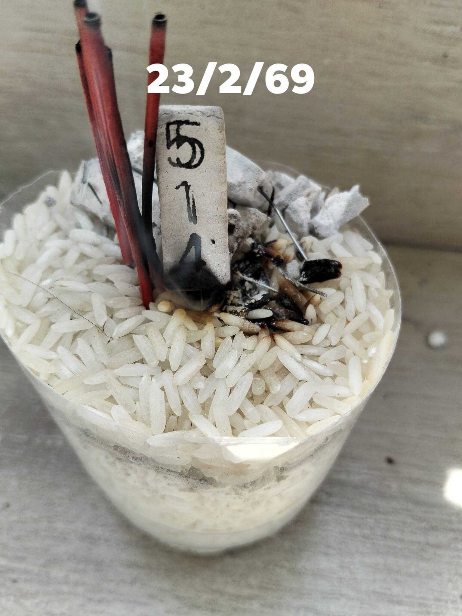 แนวทางหวยฮานอย 23/2/69 แนวทางหวยฮานอยวันนี้ออก งวดวันที่ 23 กุมภาพันธ์ 2569 หวยฮานอย 23-2-69 ชุด2