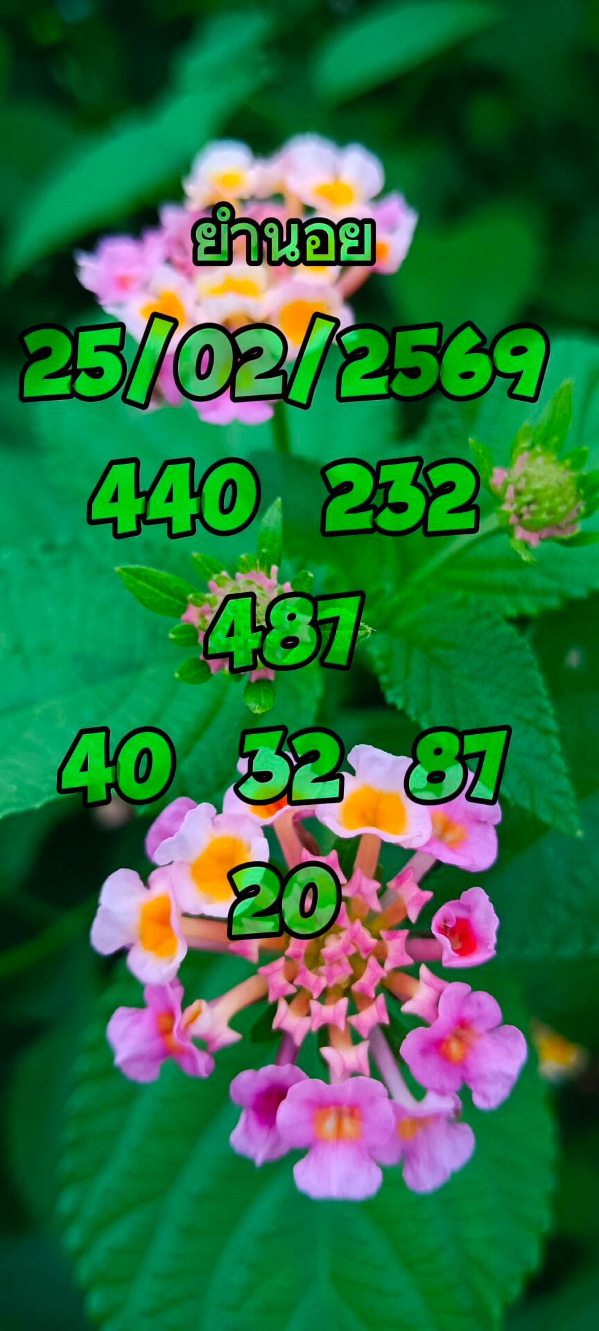 แนวทางหวยฮานอย 25/2/69 แนวทางหวยฮานอยวันนี้ออก งวดวันที่ 25 กุมภาพันธ์ 2569 หวยฮานอย 25-2-69 ชุด5