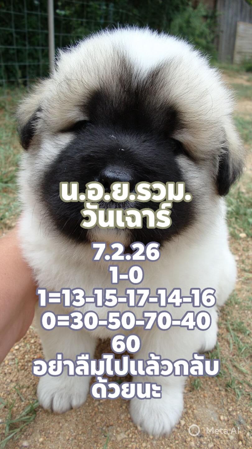 แนวทางหวยฮานอย 7/2/69 แนวทางหวยฮานอยวันนี้ออก งวดวันที่ 7 กุมภาพันธ์ 2569 หวยฮานอย 7-2-69 ชุด5