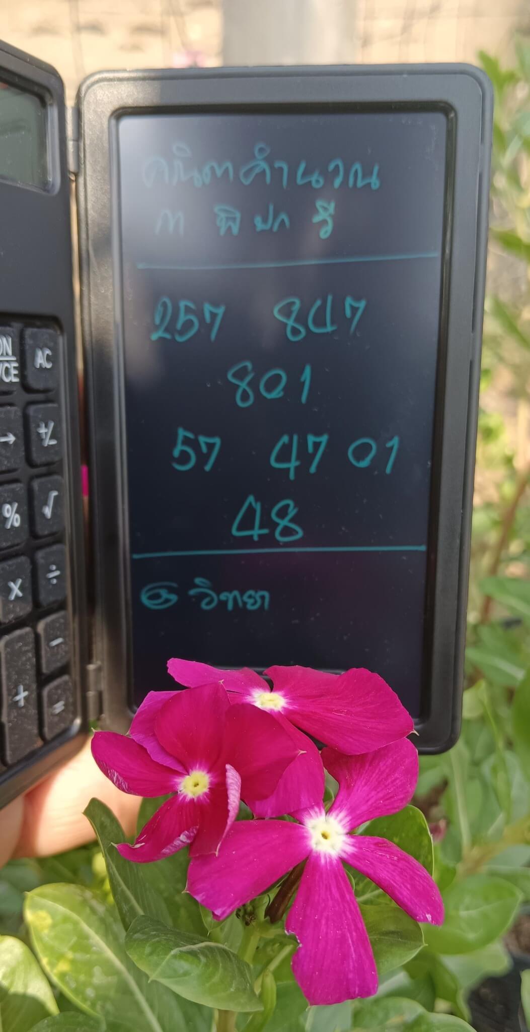 แนวทางหวยฮานอย 19/3/69 แนวทางหวยฮานอยวันนี้ออก งวดวันที่ 19 มีนาคม 2569 หวยฮานอย 19-3-69 ชุด1