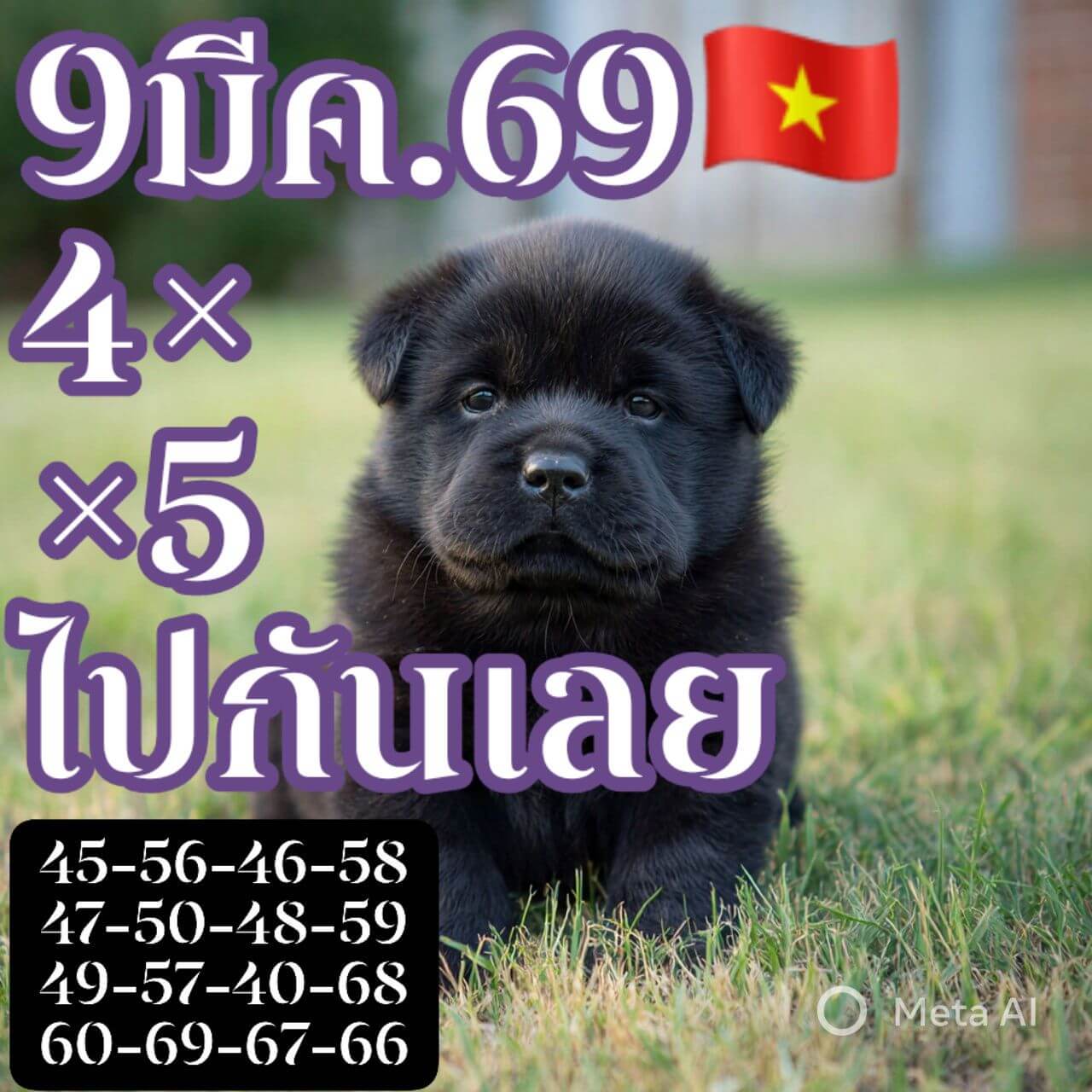 แนวทางหวยฮานอย 9/3/69 แนวทางหวยฮานอยวันนี้ออก งวดวันที่ 9 มีนาคม 2569 หวยฮานอย 9-3-69 ชุด10