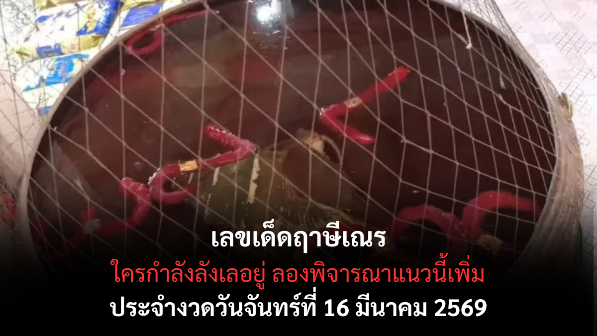 เลขเด็ดฤาษีเณร งวด 16 มีนาคม 2569 เปิดเลขพิธีดัง ลุ้นโชคกลางเดือนสายมู! เลขเด็ดฤาษีเณร 16/3/69