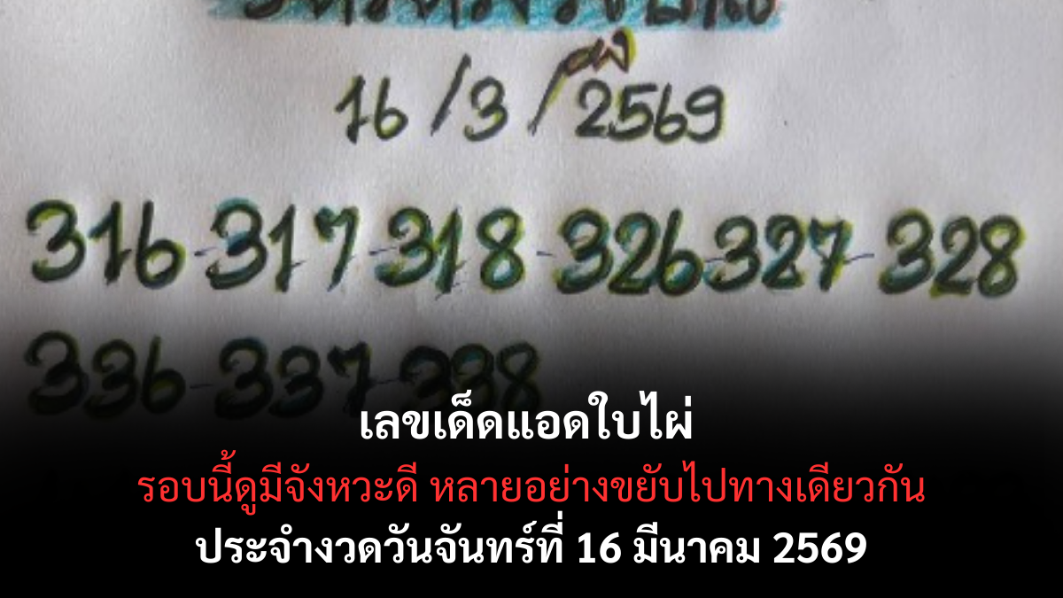 เลขเด็ดแอดใบไผ่ งวด 16 มีนาคม 2569 ส่องนิมิตมงคล ลุ้นจับเงินล้านพุ่งชนความรวยแบบไม่ทันตั้งตัว! เลขเด็ดแอดใบไผ่ 16/3/69