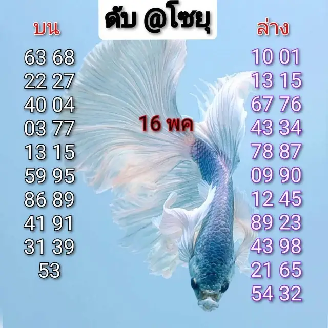 หวยดับทุกสำนัก 16/5/69 มาแรง คอหวยแห่เช็กเลขห้ามซื้อ โค้งสุดท้ายก่อนออกรางวัล หวยดับทุกสำนัก 16/5/69 ชุดที่ 5
