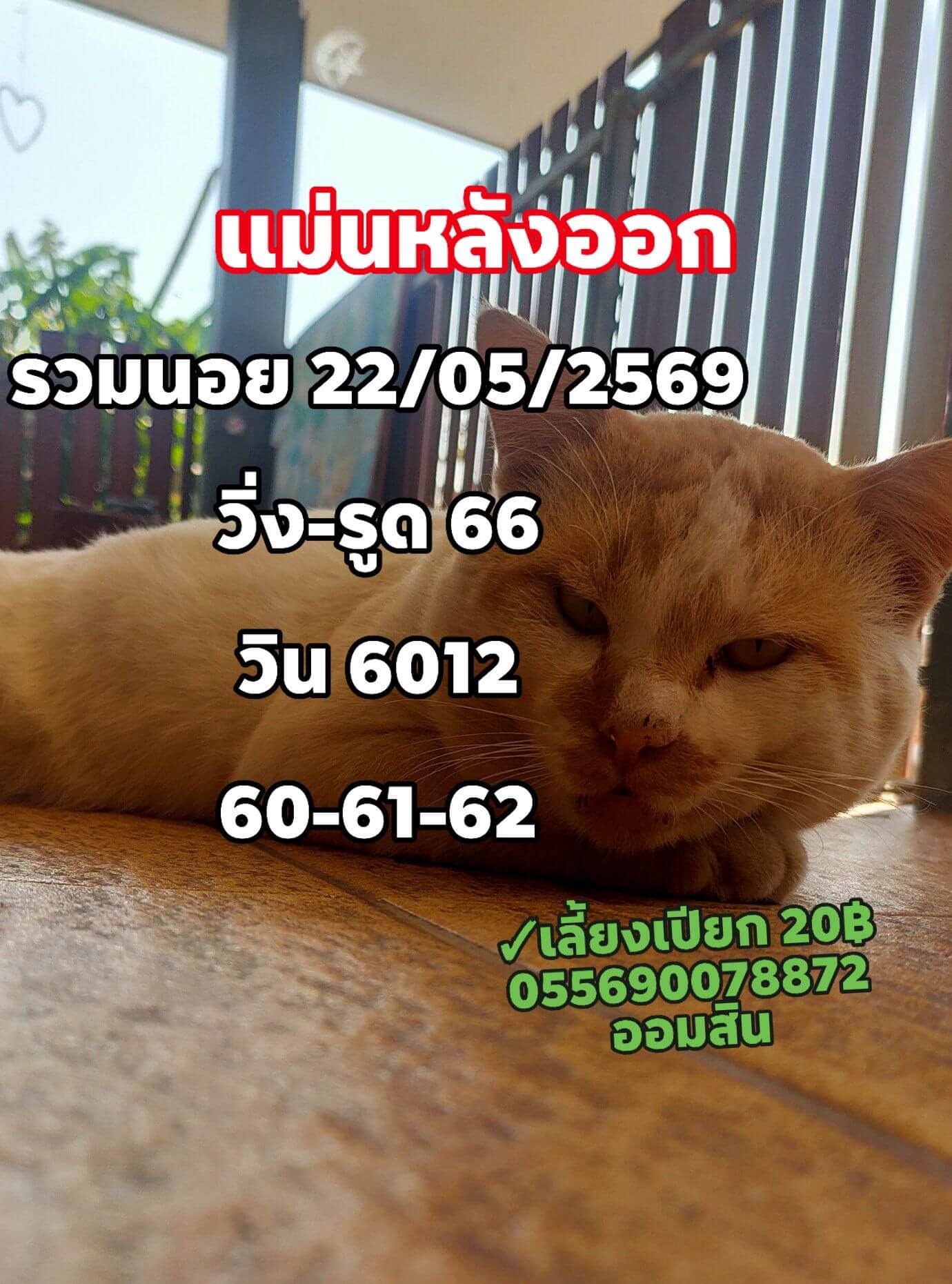 แนวทางหวยฮานอย 22/5/69 แนวทางหวยฮานอยวันนี้ออก งวดวันที่ 22 พฤษภาคม 2569 หวยฮานอย 22-5-69 ชุด4