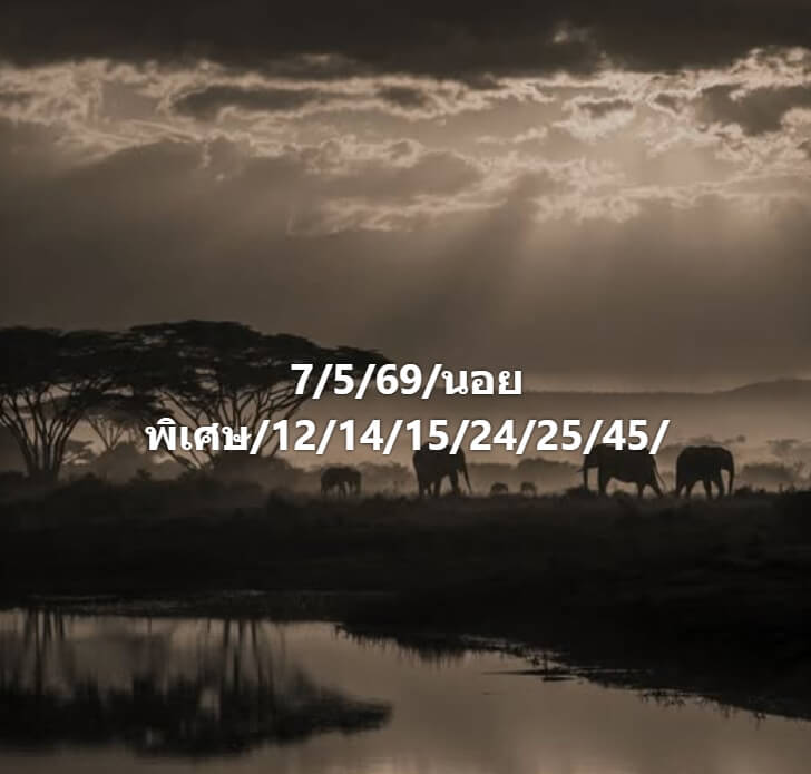 แนวทางหวยฮานอย 7/5/69 แนวทางหวยฮานอยวันนี้ออก งวดวันที่ 7 พฤษภาคม 2569 หวยฮานอย 7-5-69 ชุด3